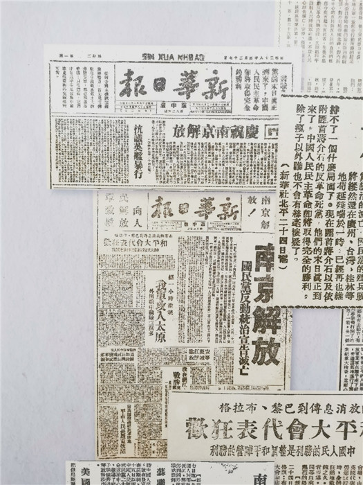 探索最新跑狗圖2025高清圖片，最新資訊與獨特魅力，最新跑狗圖2025高清圖片揭秘，資訊魅力一網打盡！