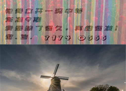 王中王四肖三期必出一期，揭秘彩票背后的秘密策略與技巧，揭秘彩票策略與技巧，王中王四肖三期必出一期之道