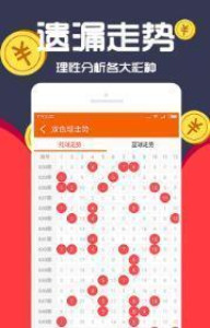 王中王一肖十，深度解析與SEO優化策略，王中王一肖十深度解析與SEO優化策略探討