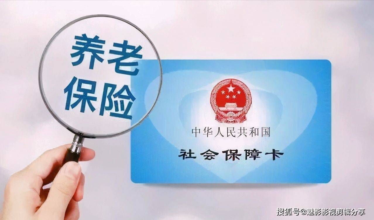揭秘王中王一期一肖特中獎背后的秘密，王中王一期一肖特中獎背后的秘密揭秘