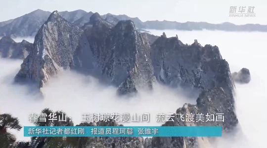 澳門最精準龍門，探索真正的精準之道，澳門最精準龍門，揭秘真正的精準之道