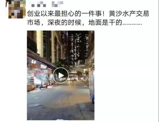 好料盡在王中王——揭秘生肖運勢的獨特魅力，揭秘生肖運勢獨特魅力，王中王好料大解密