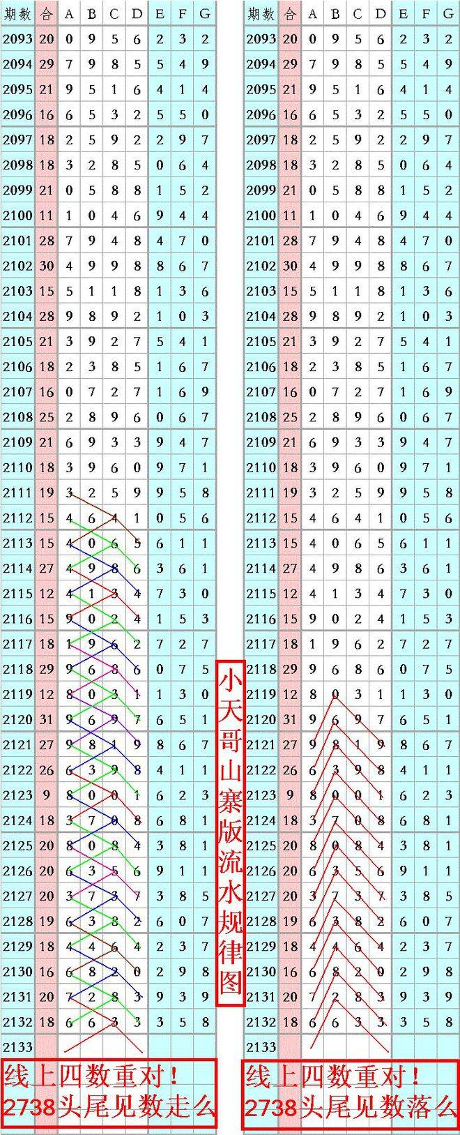 王中王資料一肖正特馬，深度解析與探索，王中王資料一肖正特馬深度解析與探索揭秘