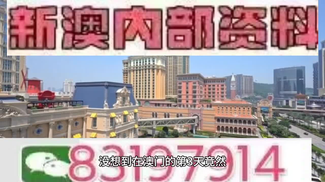 新澳門(mén)今晚必開(kāi)一肖一特，探索生肖與特碼的魅力，澳門(mén)生肖特碼探索，今晚必開(kāi)一肖一特之魅力