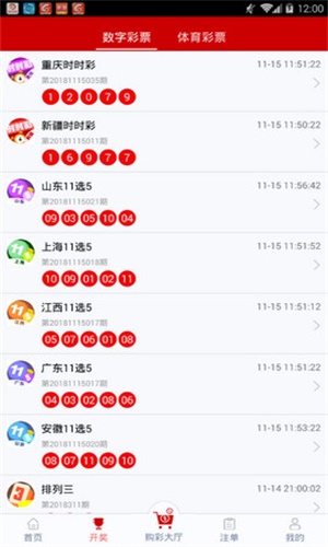 一碼一肖，揭秘背后的秘密與探索其獨特魅力，揭秘一碼一肖背后的秘密與獨特魅力探索