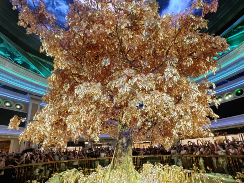 澳門搖錢樹開獎最快——探索彩票世界的神秘魅力，澳門搖錢樹彩票開獎揭秘，探索神秘彩票世界的魅力