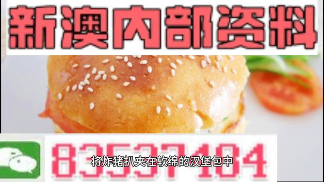 2025新澳正版資料精準解析，2025新澳正版資料精準解析手冊