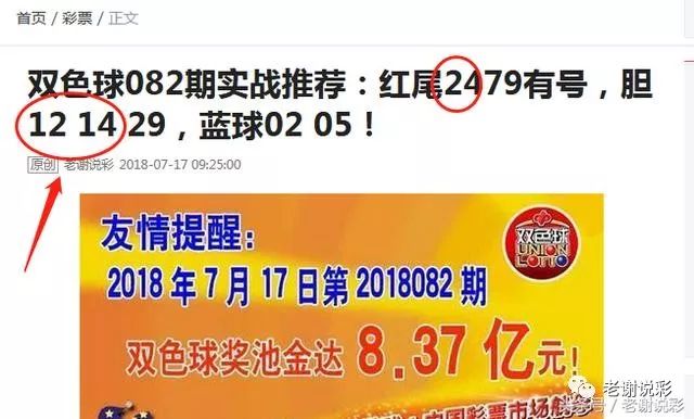 王中王082期指一生肖——探尋生肖魅力，洞悉運勢奧秘，探尋生肖魅力，揭秘運勢奧秘——王中王生肖運勢解析 082期