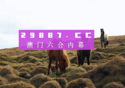 澳門六開獎(jiǎng)結(jié)果2023開獎(jiǎng)記錄查詢網(wǎng)站——全面解析與最新資訊，澳門六開獎(jiǎng)結(jié)果最新解析與資訊，全面查詢2023年開獎(jiǎng)記錄