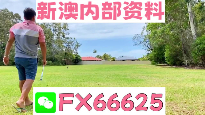 王中王一碼二肖，揭秘背后的秘密，揭秘王中王一碼二肖背后的秘密