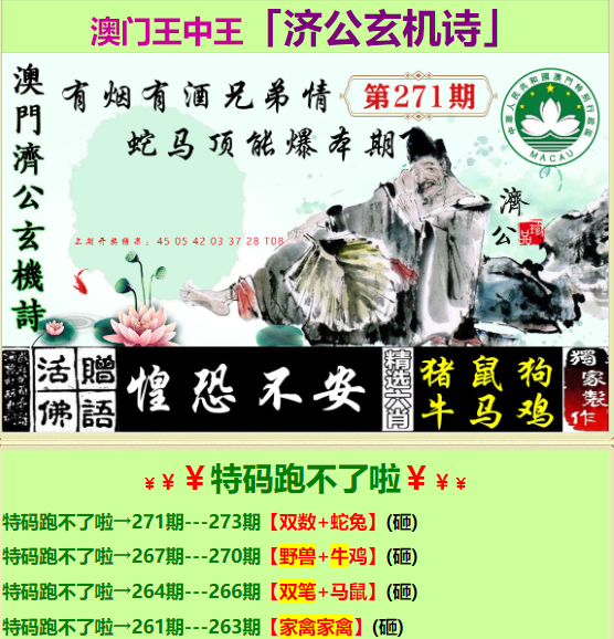 王中王一肖開獎中特，揭秘彩票背后的秘密與策略，揭秘彩票背后的秘密與策略，王中王一肖開獎中特探究