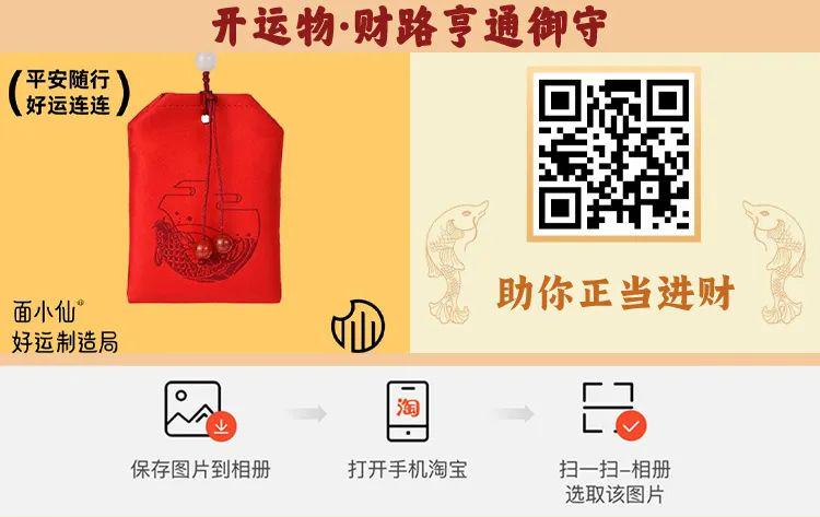 二肖二碼，深度解析與SEO優(yōu)化策略，二肖二碼深度解析與SEO優(yōu)化策略探討