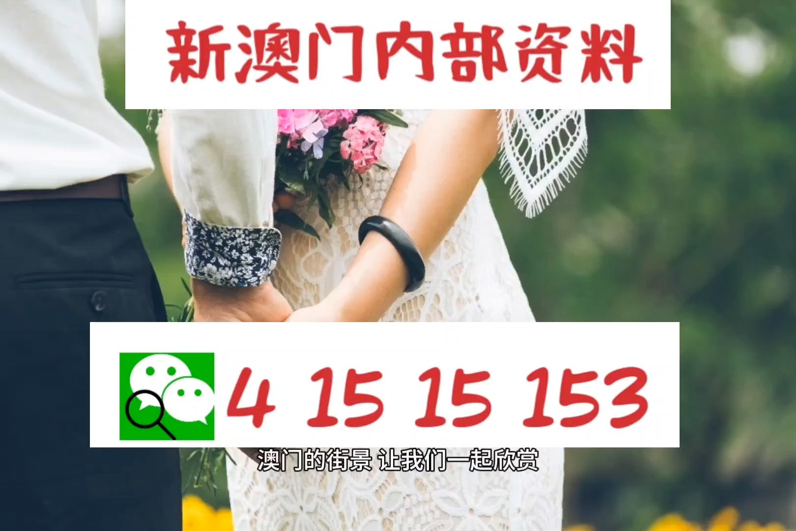 新澳精準資料，深度解析與探索，新澳精準資料深度解析與探索之旅