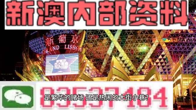 新澳門精準(zhǔn)資料大全管家婆料，探索與解析，澳門精準(zhǔn)資料大全解析，探索管家婆料內(nèi)幕