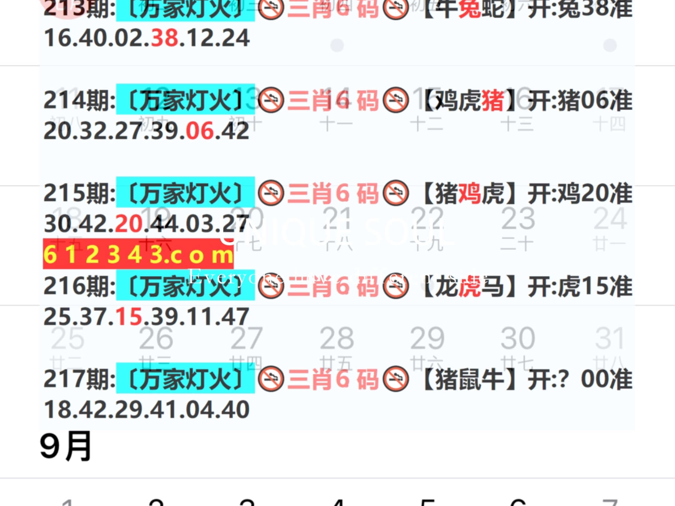 新奧今日六肖中特，揭秘背后的秘密與趨勢分析，揭秘新奧今日六肖中特背后的秘密與趨勢分析