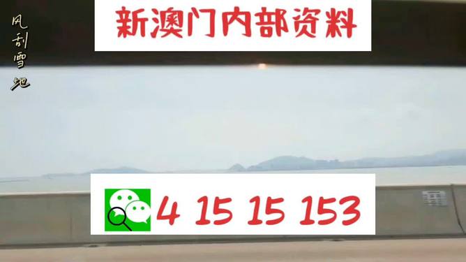 新澳2025最新資料生肖，深度解析與預測展望，新澳2025最新生肖資料深度解析與未來預測展望