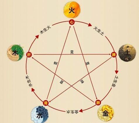 鐵算算盤4887最準資料，揭秘其背后的秘密與優勢，揭秘鐵算算盤4887，最準資料背后的秘密與優勢