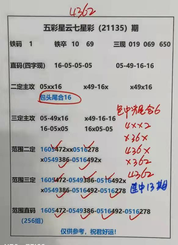 迎接美好未來，2025天天好彩，迎接美好未來，2025年天天精彩無限