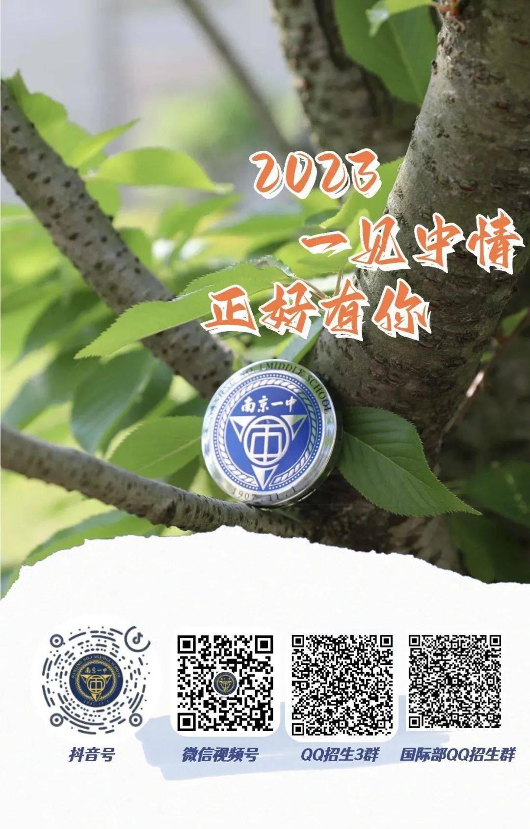 一碼一肖一特一中，揭秘背后的秘密與奧秘，揭秘一碼一肖一特一中背后的秘密奧秘