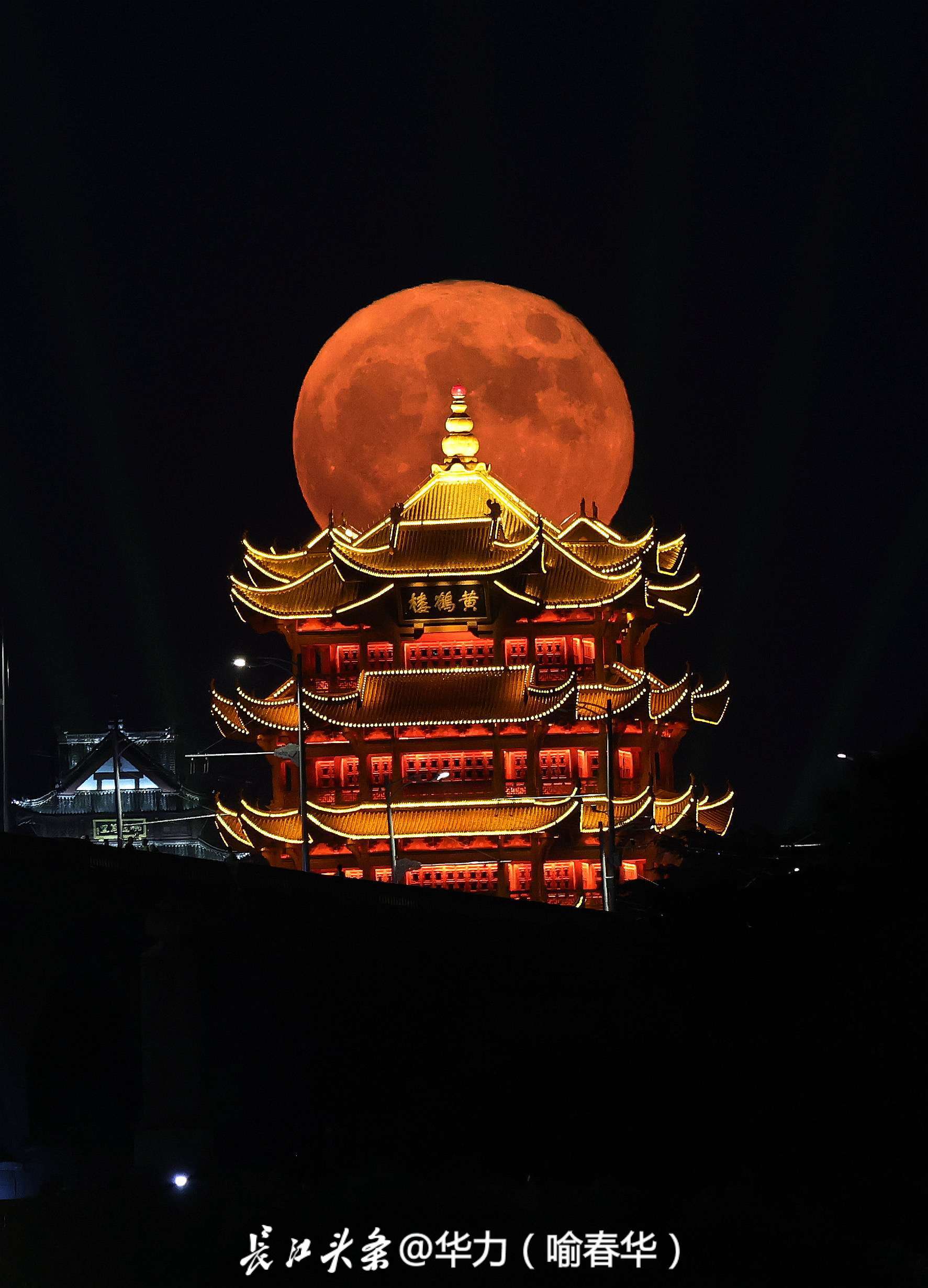 重磅推薦黃鶴樓歲月靜好系列新品——肖中特版，審核通過，獨家呈現黃鶴樓8888043.com，黃鶴樓歲月靜好系列新品——肖中特版重磅發布，獨家呈現黃鶴樓官網888804.com
