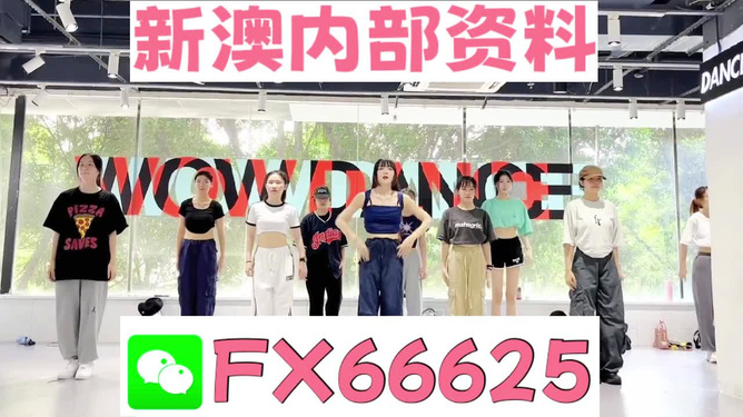 澳門免費資料大全，探索澳門的文化與歷史寶庫，探索澳門文化與歷史寶庫，澳門免費資料大全