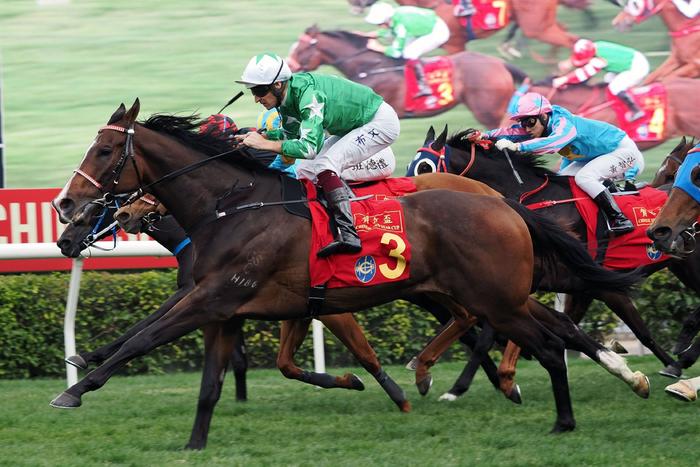 探索香港馬官網，一站式體驗7777788888的賽馬世界，探索香港馬官網，一站式賽馬世界體驗