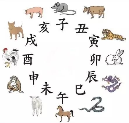 澳門天天彩期期精準十二生肖預測——揭秘彩票秘密，澳門天天彩期期精準十二生肖預測，揭秘彩票秘密之獨家解析