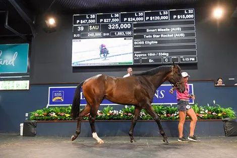 香港最精準的特馬資料，揭秘賽馬世界的秘密，香港精準特馬資料揭秘，賽馬世界的奧秘探秘