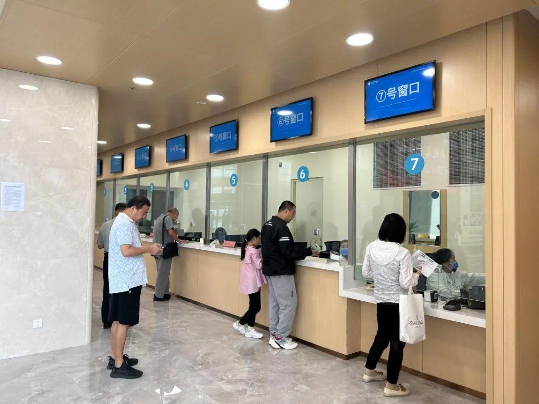 新門內部資料免費下載——探索與揭秘，新門內部資料揭秘，免費下載與探索之旅