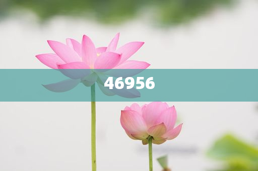新奧集團，邁向2025，天天開好彩的愿景與挑戰，新奧集團邁向2025，實現天天開好彩的愿景與挑戰