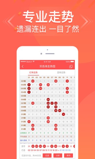 王中王六肖中特免費公開，深度解析與SEO優化策略，王中王六肖中特解析與SEO優化策略免費公開