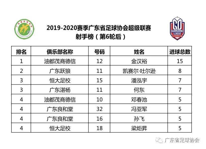 澳門六開獎結(jié)果2020年回顧與解析，澳門六開獎結(jié)果回顧與解析，2020年數(shù)據(jù)深度解讀