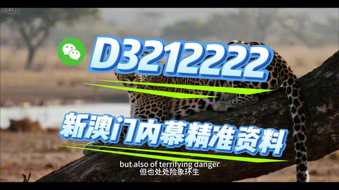 2025開特馬最準(zhǔn)確一肖