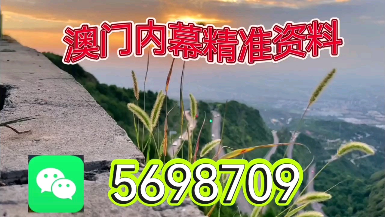 新澳天天開彩資料大全——探索彩票世界的奧秘，新澳天天開彩資料大全，揭秘彩票世界的神秘面紗