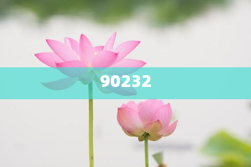 揭秘2025新澳天天開好彩大全第78期精彩瞬間，掌握彩票秘籍！，揭秘第78期新澳天天開好彩精彩瞬間，彩票秘籍大揭秘！
