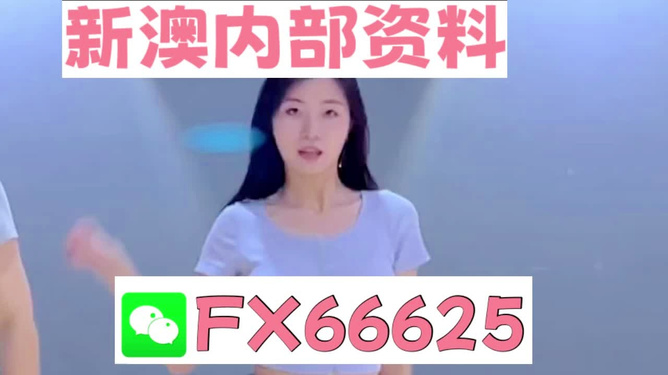 新澳門精準資料大全——管家婆料解析與探索，澳門精準資料大全，管家婆料解析與深度探索