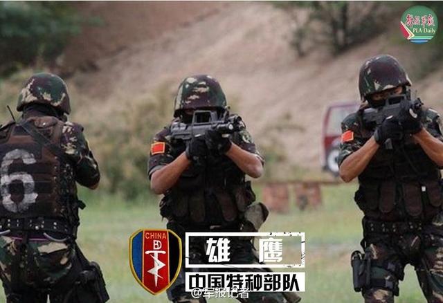 中國七大特種部隊，神秘的力量與卓越的能力，中國七大特種部隊，神秘力量與超凡能力的展現