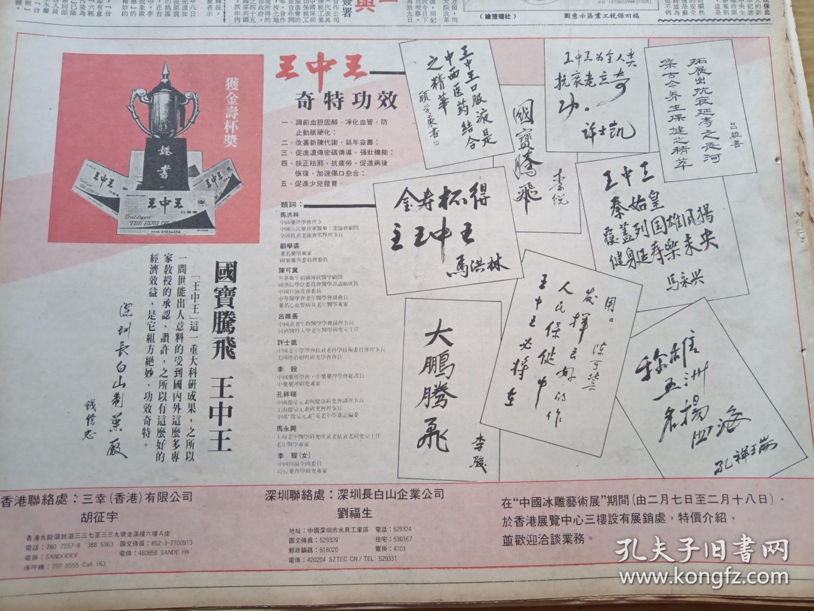 王中王資料一肖中一特，深度解析與SEO優化策略，王中王資料一肖中一特，深度解析與SEO優化策略全攻略