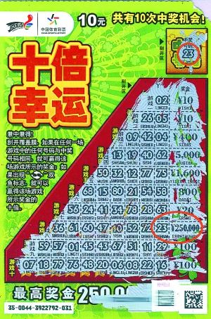 王中王平特一肖好彩頭——揭秘好運背后的秘密，揭秘好運背后的秘密，王中王平特一肖好彩頭解析