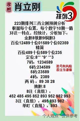 王中王三肖一碼資料，深度解析與SEO優化策略，王中王三肖一碼資料深度解析與SEO優化策略全攻略