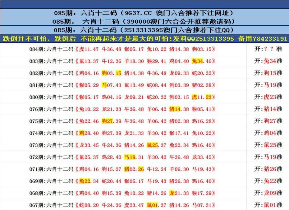 澳門六合正版資料，深度解析與探索，澳門六合正版資料深度解析與探索之旅