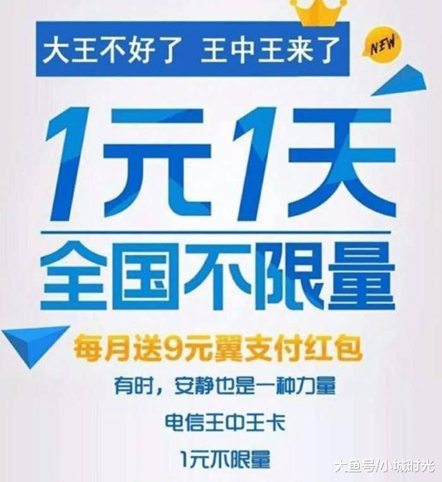 王中王新四不像一肖，揭秘背后的神秘面紗與SEO策略洞察，揭秘王中王新四不像一肖背后的神秘面紗與SEO策略洞察
