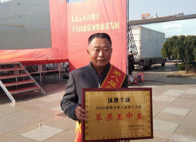 正版王中王一肖8碼中特，探索背后的秘密與真相，正版王中王一肖8碼中特，揭秘背后的真相與秘密
