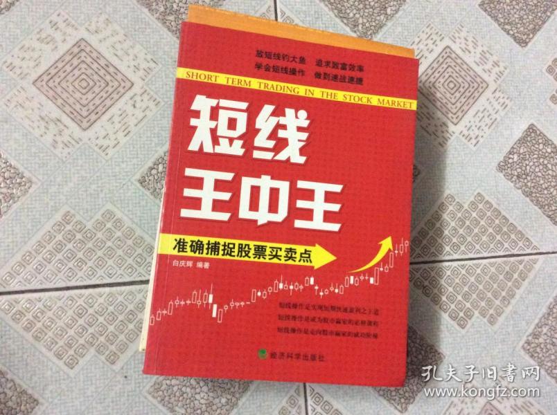 王中王中平特一肖必，深度解析與SEO優化策略，王中王中平特一肖必深度解析與SEO優化策略探討