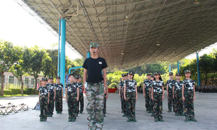 紅星軍事網,探索軍事領域的深度與廣度,紅星軍事網,深度探索軍事領域