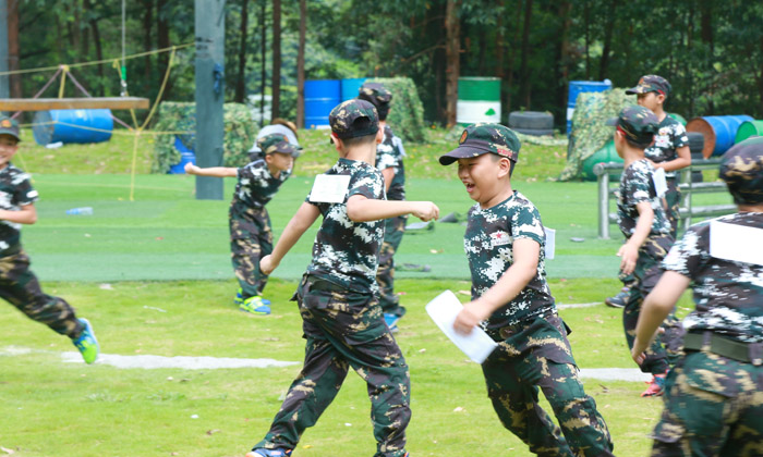 紅星軍事網,探索軍事領域的深度與廣度,紅星軍事網,深度探索軍事領域