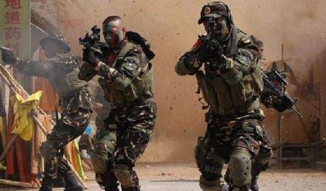 中國兩個特種兵叛變,深度解析與反思,中國特種兵叛變事件,深度分析與反思