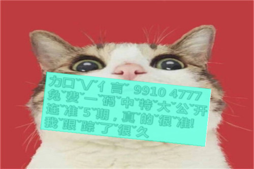 一肖是啥意思,深度解析與探索,一肖深度解析與探索,含義、起源及內涵解析