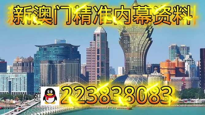 新澳門2025年最新版，探索未來的發展與展望，澳門未來展望，新澳門2025年最新版的發展探索