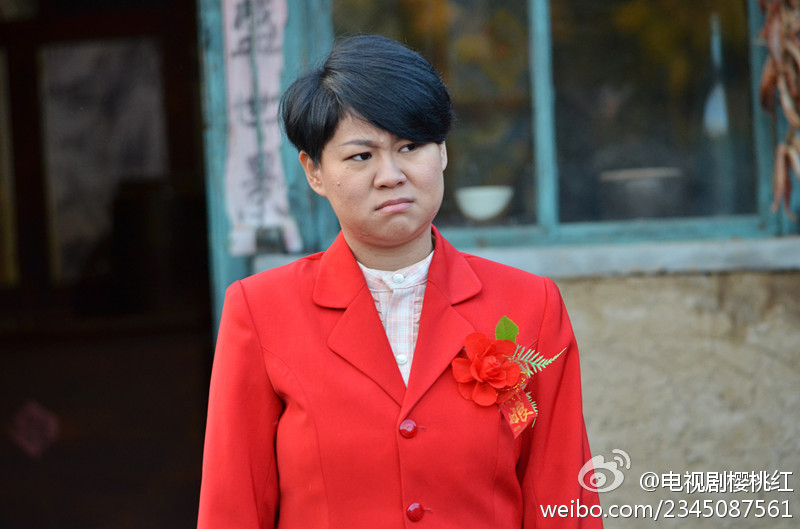 櫻桃紅演員表及其角色深度解析,櫻桃紅演員陣容及角色深度解析